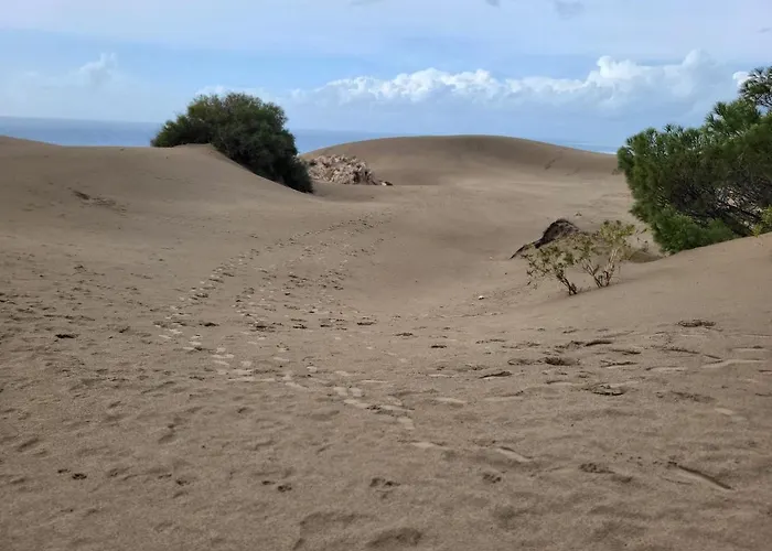 公寓 Patara 1 卡斯